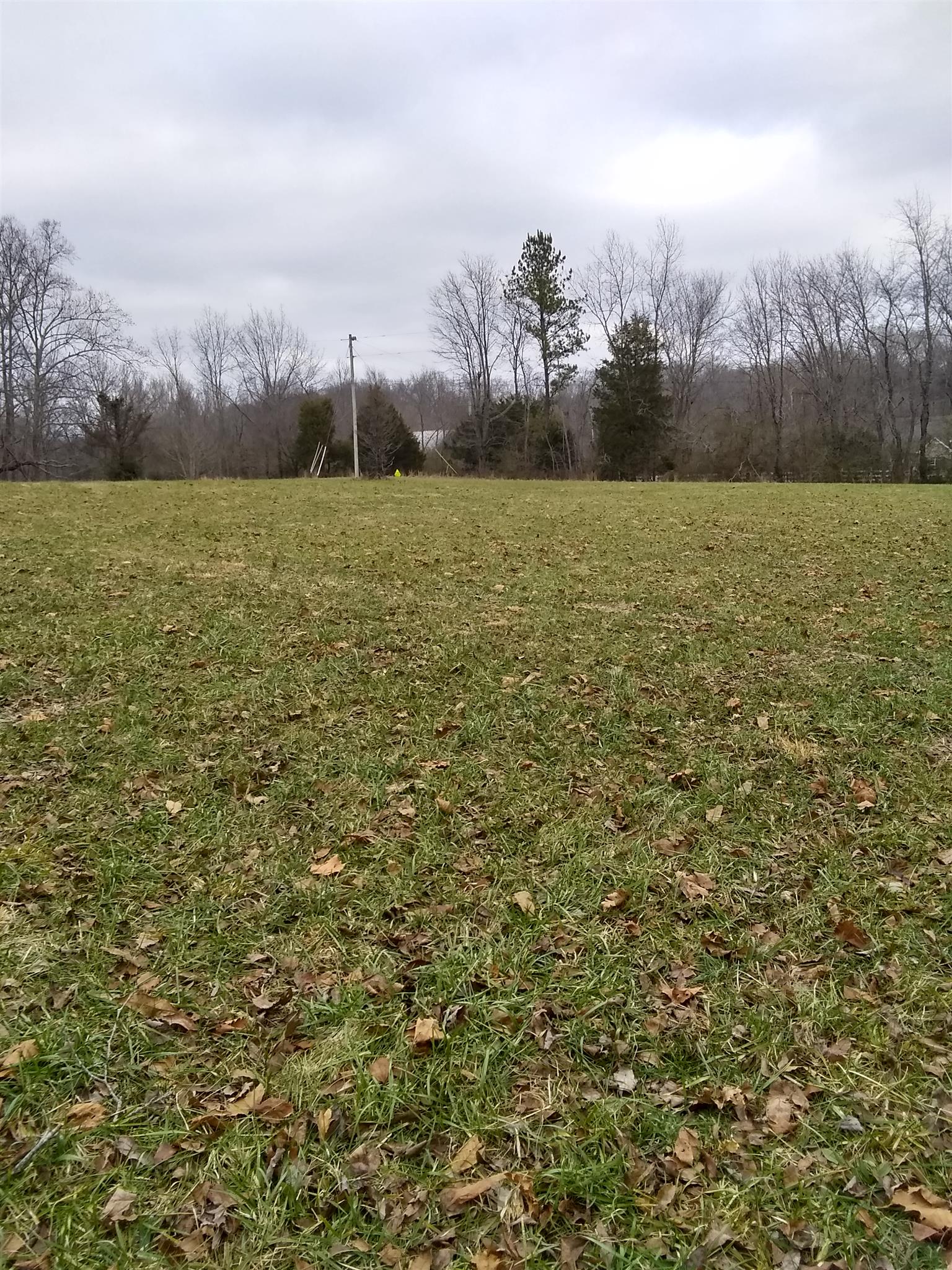 7895 Pinewood Road Fairview, TN 37062 - Photo 5 of 16 Gallery Image 5