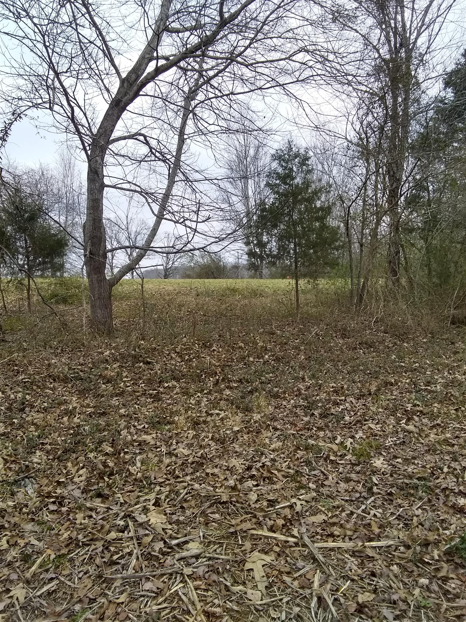 7895 Pinewood Road Fairview, TN 37062 - Photo 6 of 16 Gallery Image 6