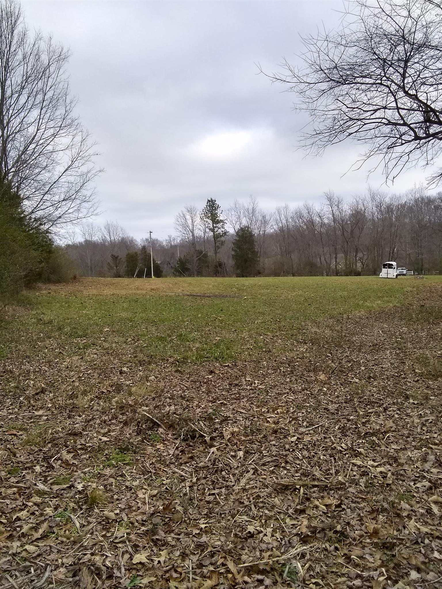 7895 Pinewood Road Fairview, TN 37062 - Photo 7 of 16 Gallery Image 7