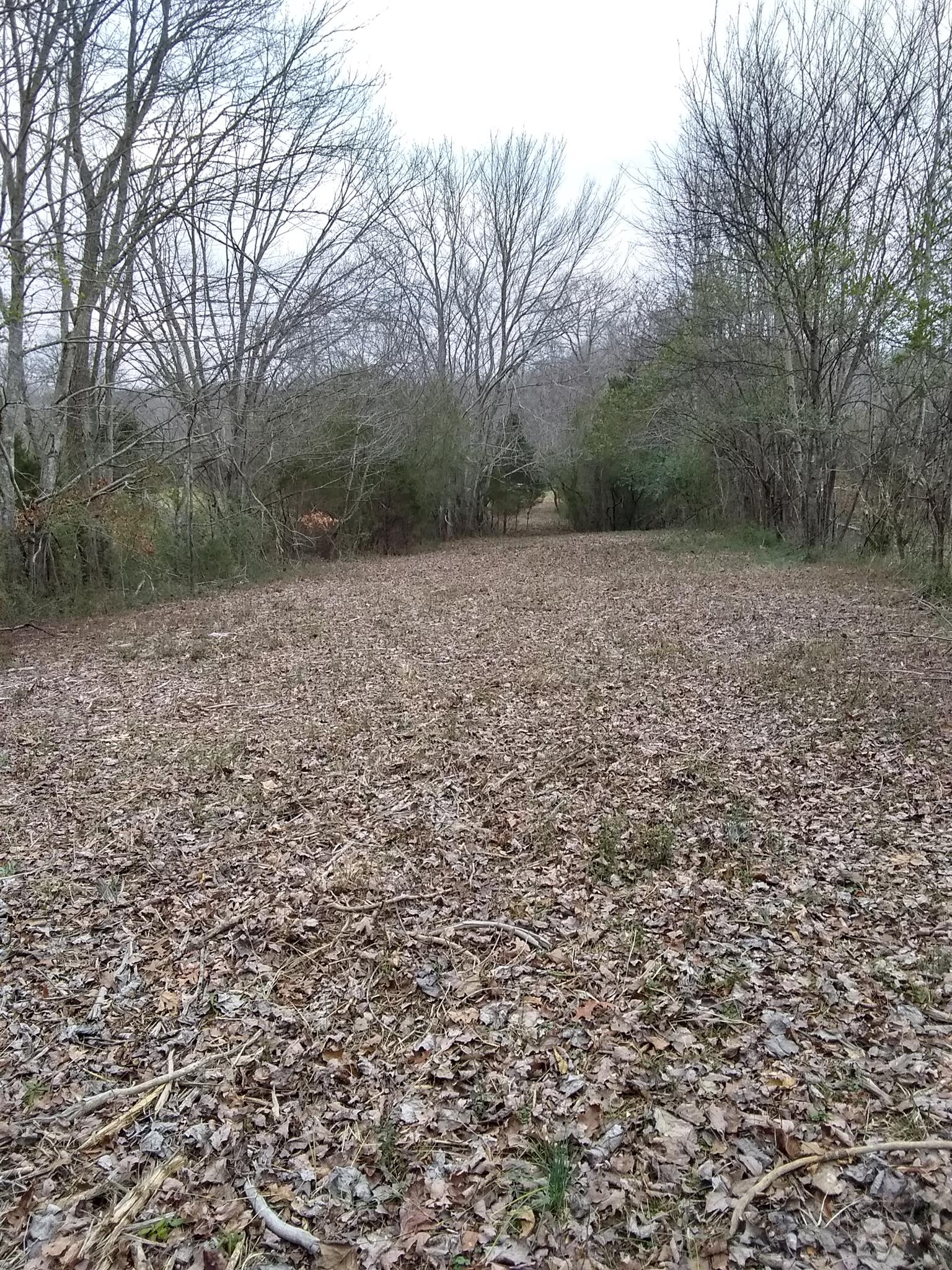 7895 Pinewood Road Fairview, TN 37062 - Photo 10 of 16 Gallery Image 10