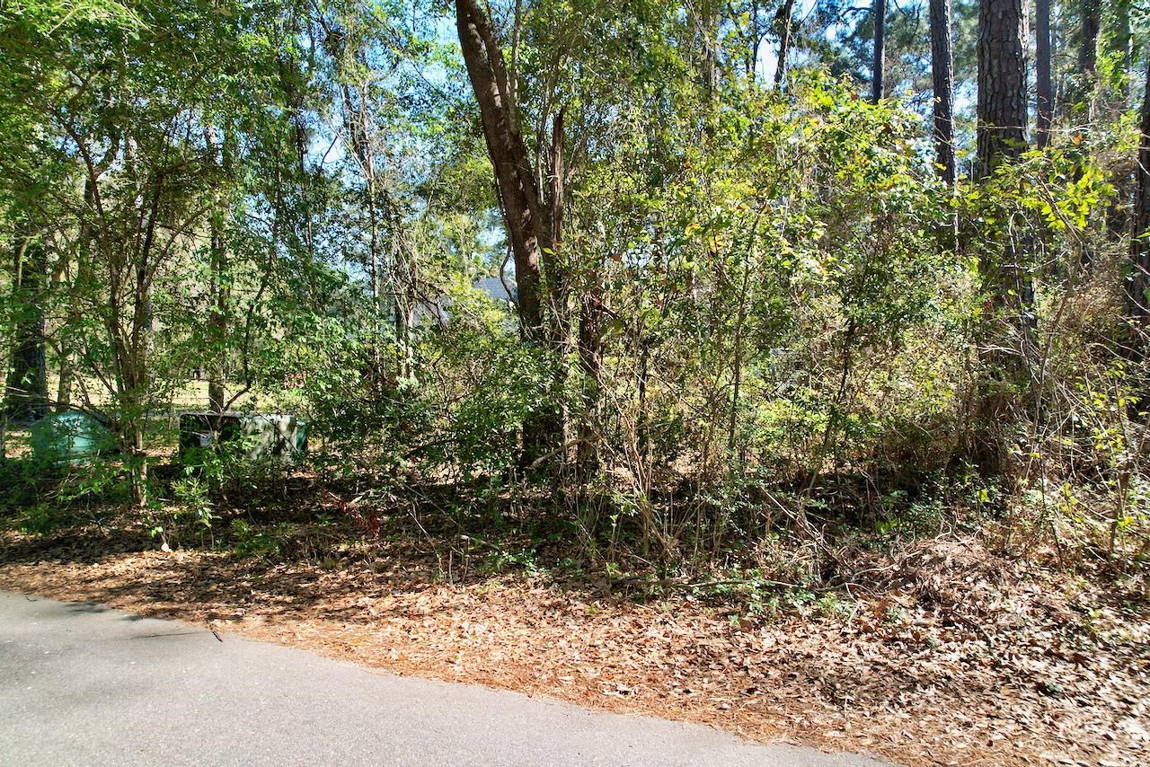 0 Amber Valley Road Tallahassee, FL 32312 - Photo 25 of 38 Gallery Image 25
