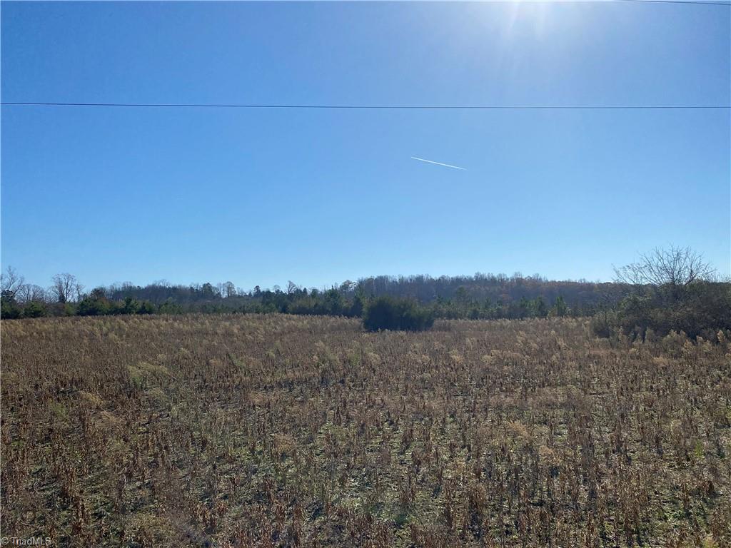30.77 Maurice Daniels Road Roxboro, NC 27574 - Photo 3 of 7