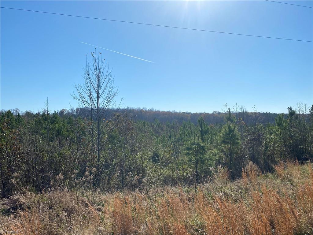 30.77 Maurice Daniels Road Roxboro, NC 27574 - Photo 4 of 7