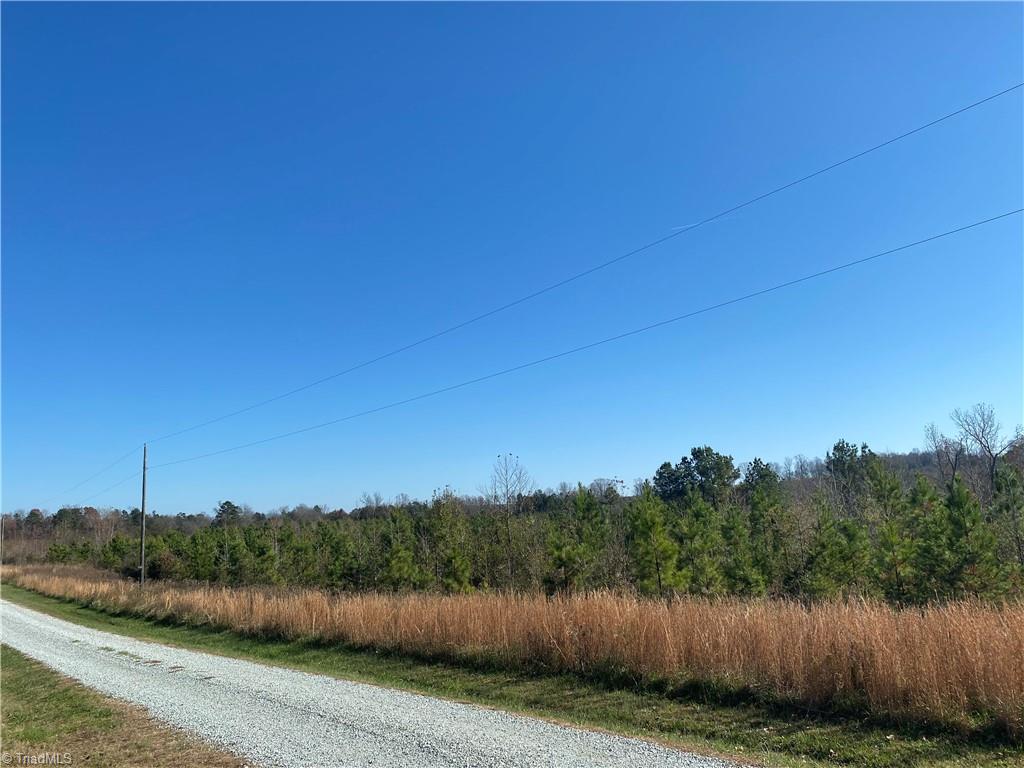 30.77 Maurice Daniels Road Roxboro, NC 27574 - Photo 5 of 7