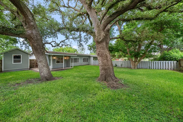 a view of a garden with a tree
