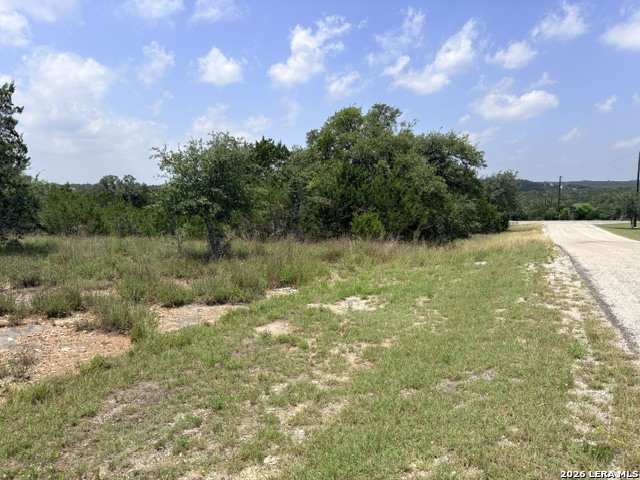 128 Coneflower Drive Spring Branch, TX 78070 - Photo 2 of 27