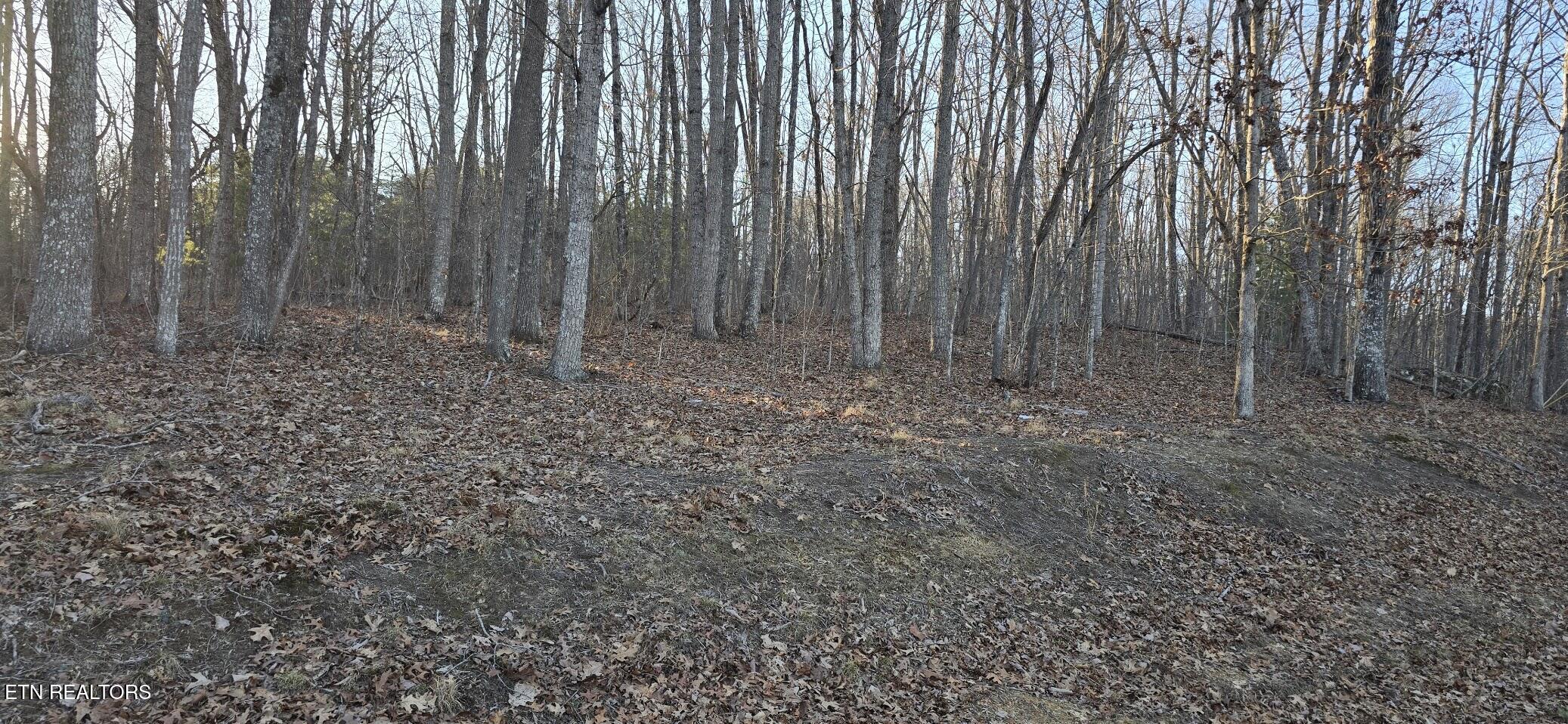 119 Pineridge Loop Fairfield Glade, TN 38558 - Photo 1 of 34 119 PINERIDGE LOOP