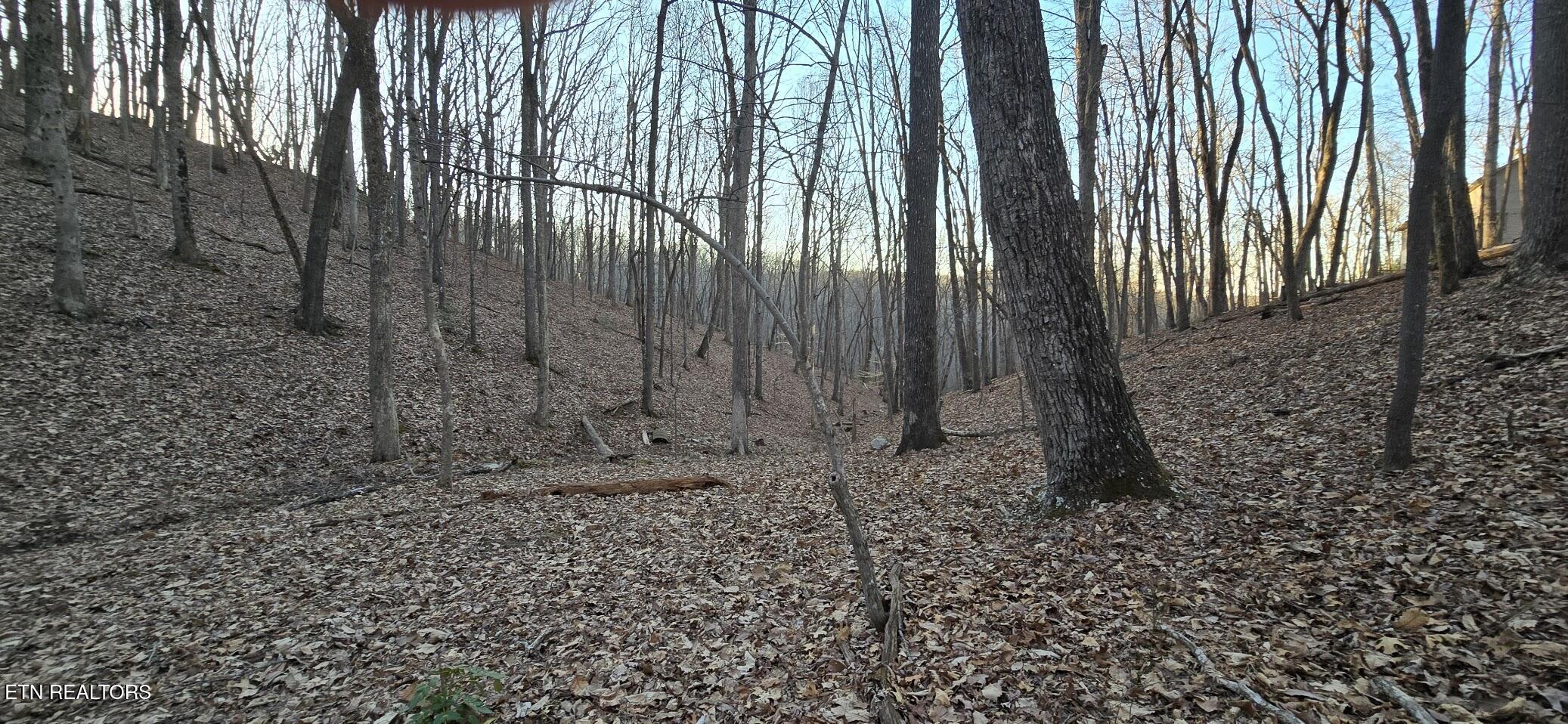119 Pineridge Loop Fairfield Glade, TN 38558 - Photo 11 of 34 TREES