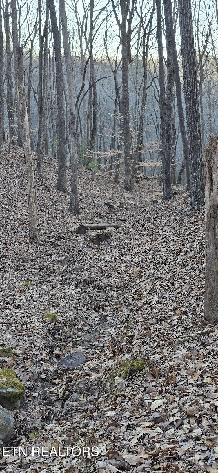 119 Pineridge Loop Fairfield Glade, TN 38558 - Photo 13 of 34 NICE VALLEY BEHIND