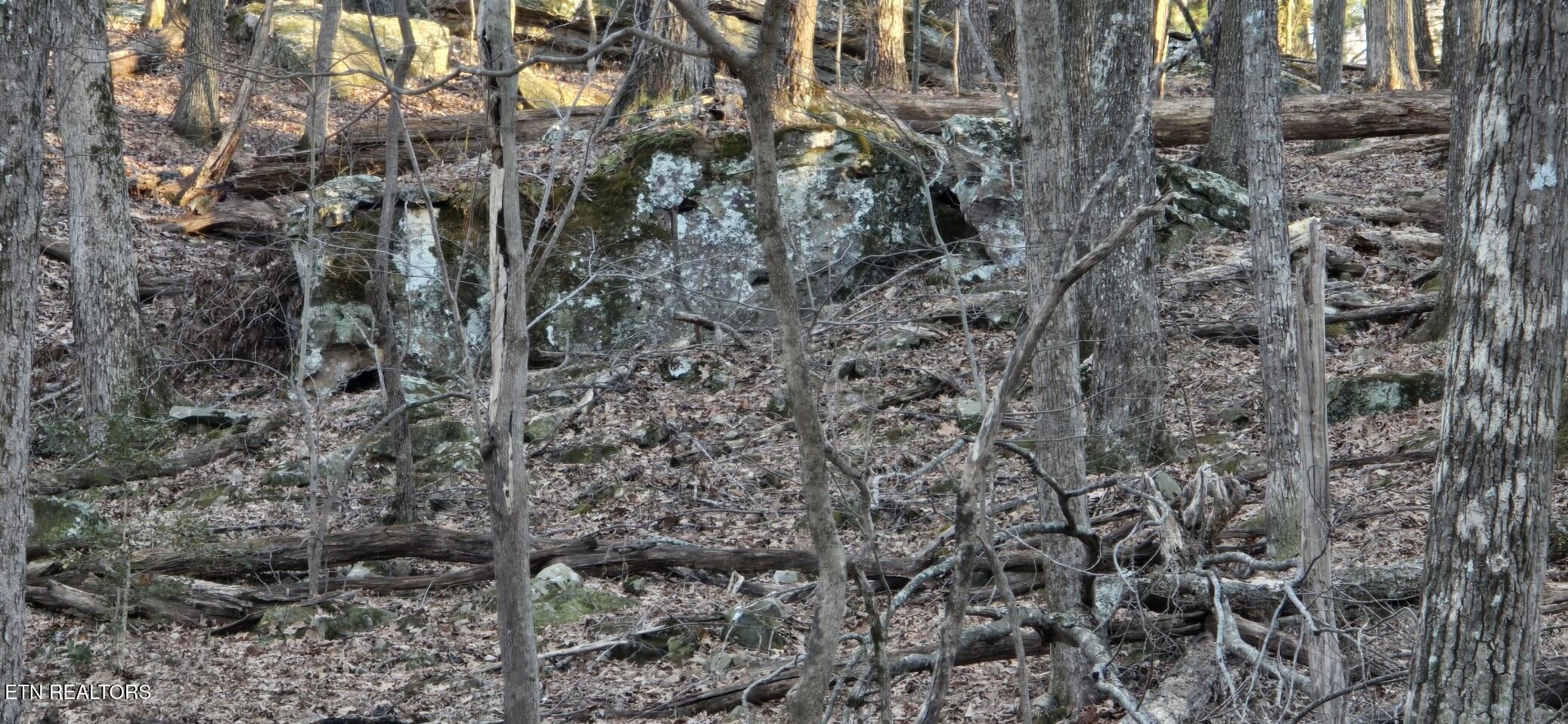 119 Pineridge Loop Fairfield Glade, TN 38558 - Photo 16 of 34 ROCK OUTCROPPINGS