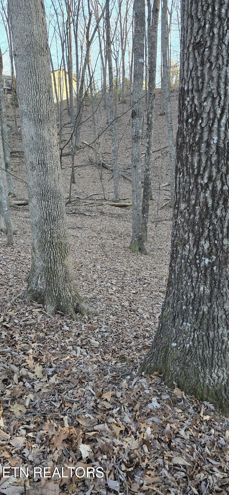 119 Pineridge Loop Fairfield Glade, TN 38558 - Photo 17 of 34 LARGE OAKS