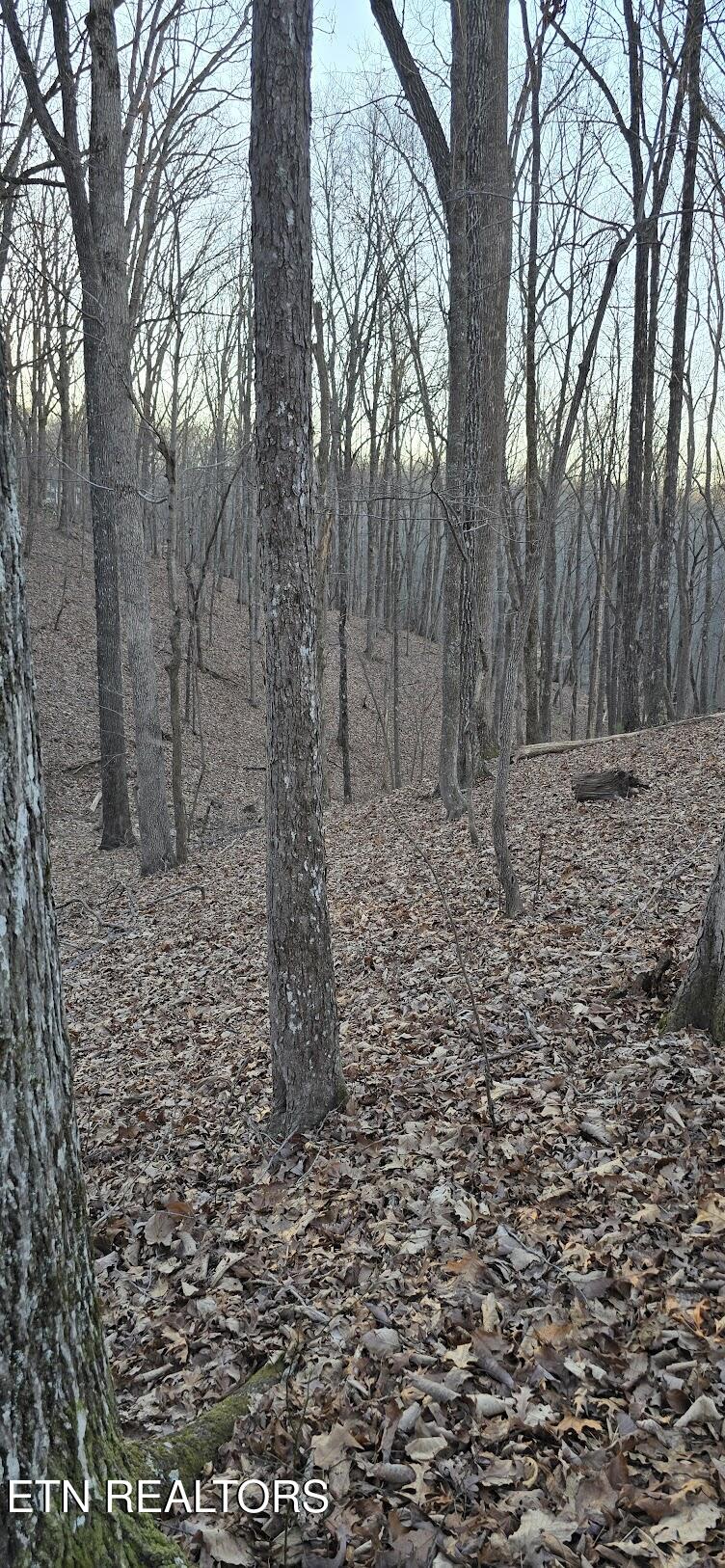 119 Pineridge Loop Fairfield Glade, TN 38558 - Photo 18 of 34 SMALL OAKS