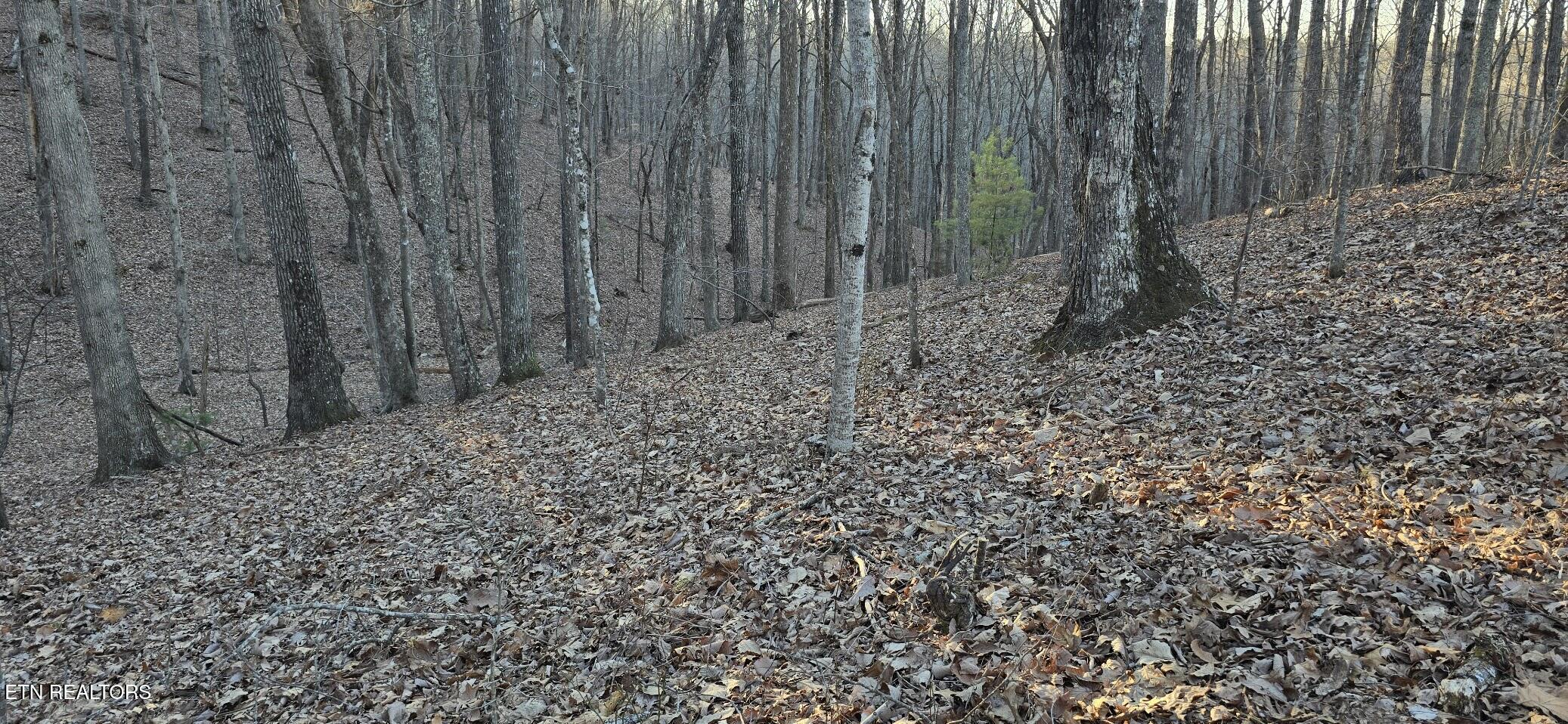 119 Pineridge Loop Fairfield Glade, TN 38558 - Photo 19 of 34 SLOPING