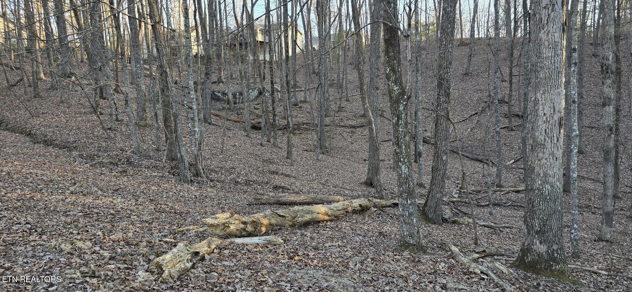 119 Pineridge Loop Fairfield Glade, TN 38558 - Photo 20 of 34 PRIVATE