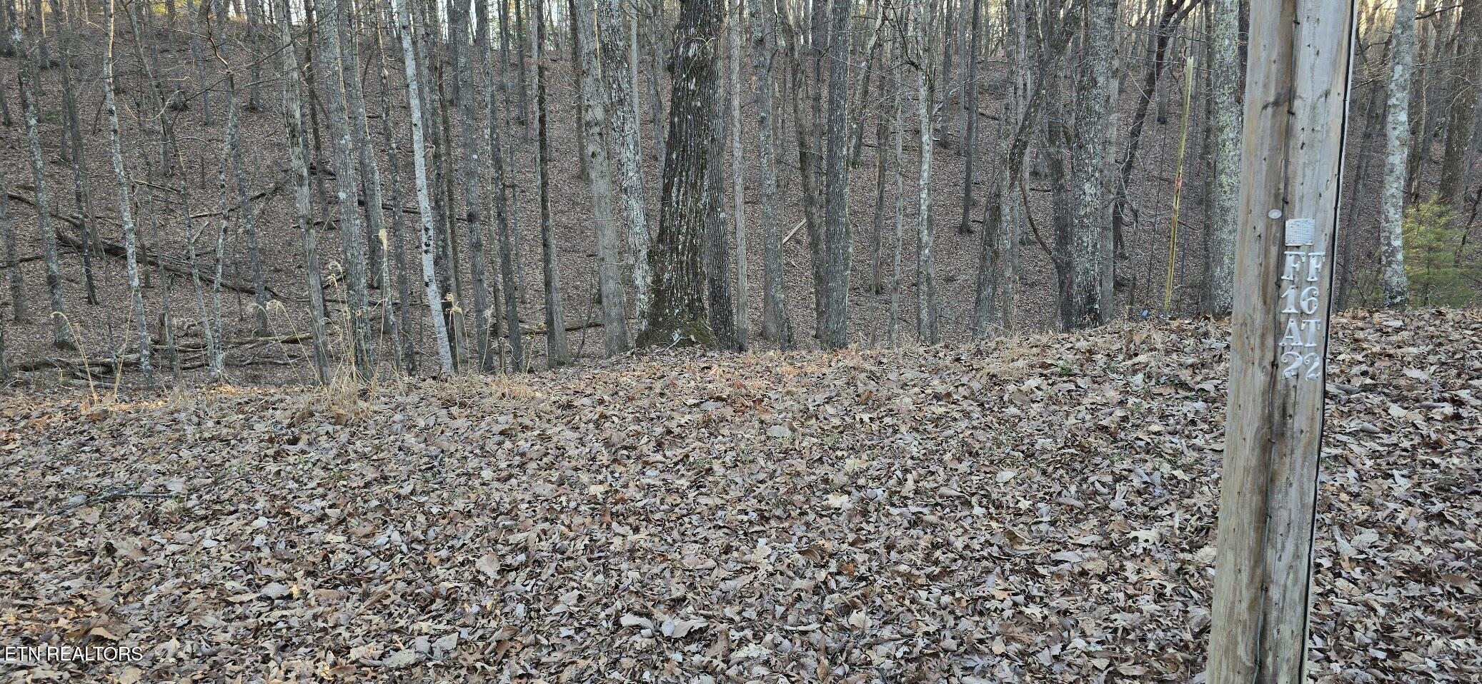 119 Pineridge Loop Fairfield Glade, TN 38558 - Photo 21 of 34 BUILDABLE LOT