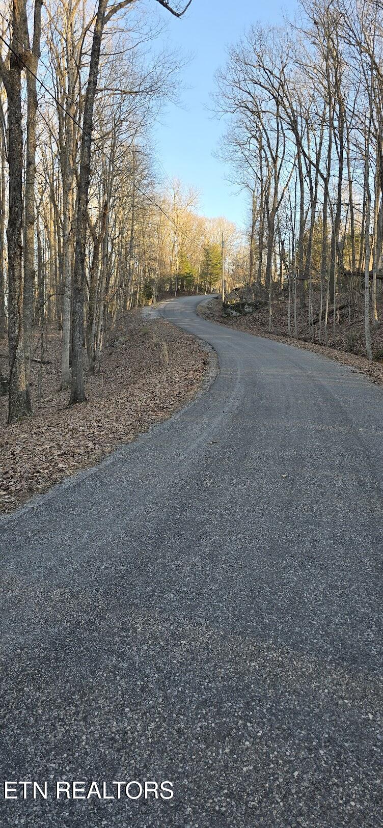 119 Pineridge Loop Fairfield Glade, TN 38558 - Photo 22 of 34 OAD FRONTAGE