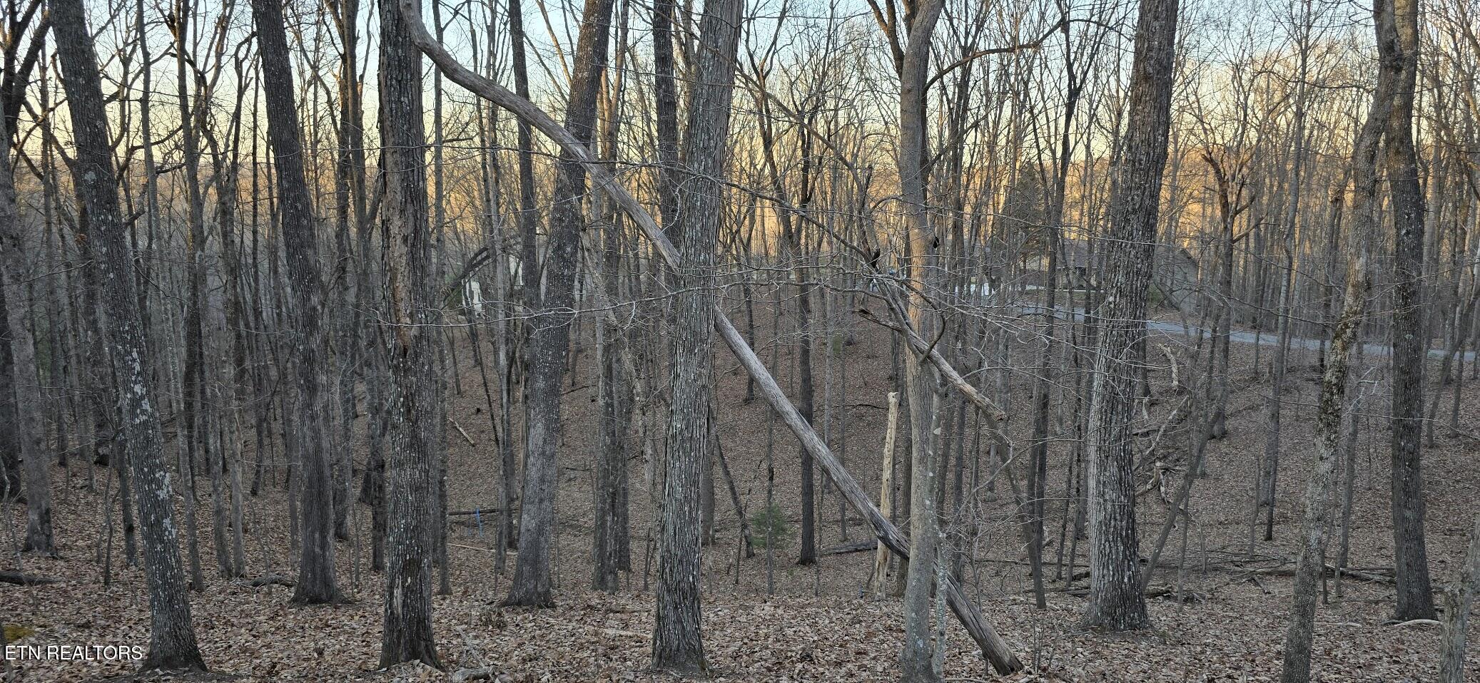 119 Pineridge Loop Fairfield Glade, TN 38558 - Photo 24 of 34 NICE REVENE