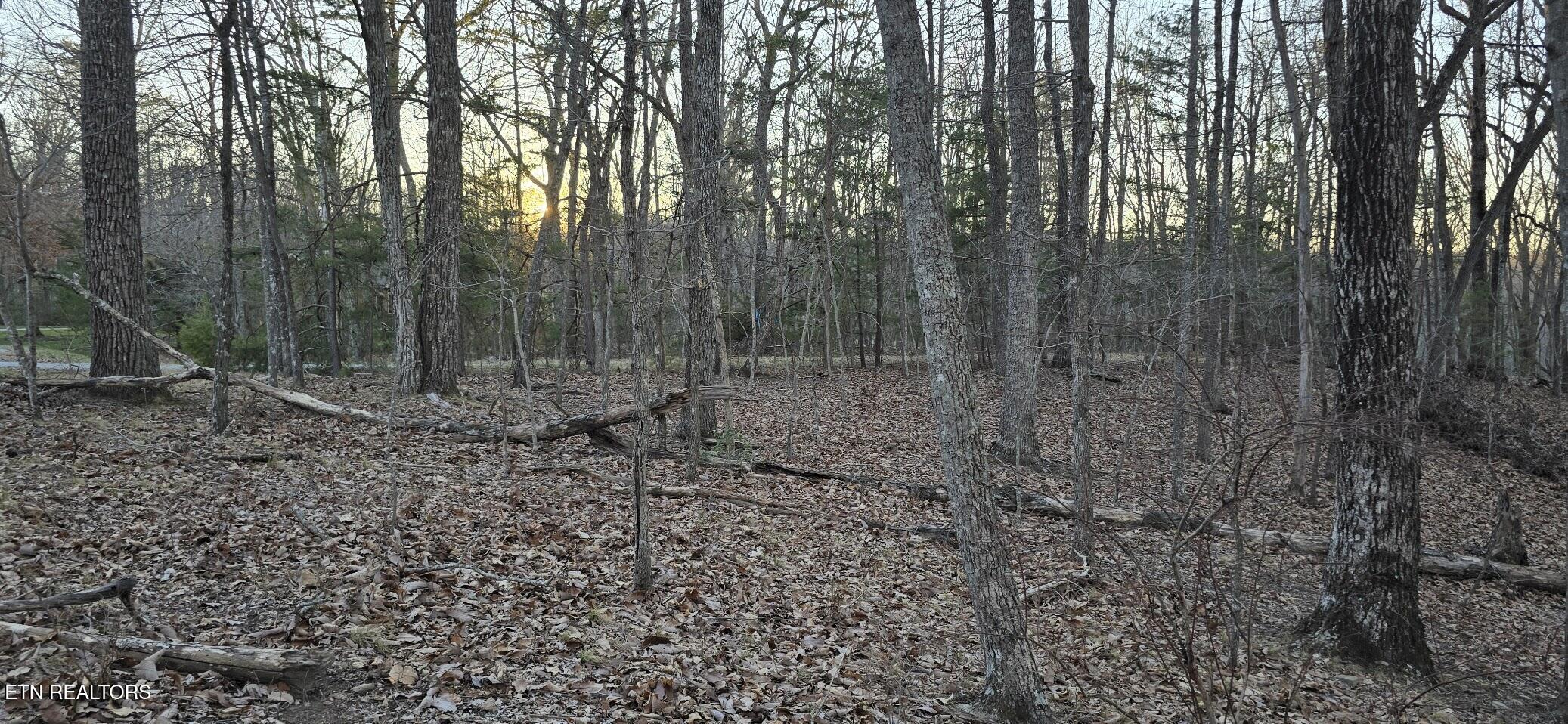 119 Pineridge Loop Fairfield Glade, TN 38558 - Photo 25 of 34 COME EXPLORE