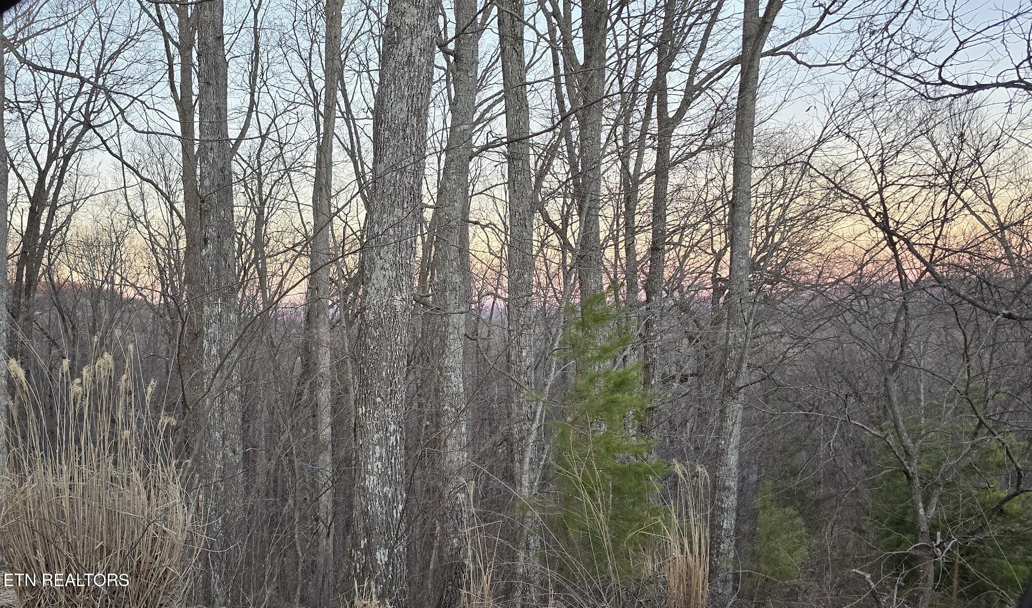 119 Pineridge Loop Fairfield Glade, TN 38558 - Photo 28 of 34 RIDGES