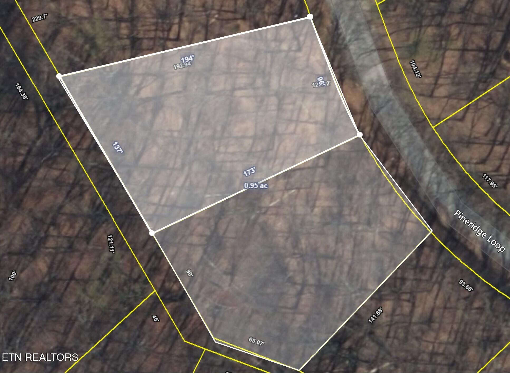 119 Pineridge Loop Fairfield Glade, TN 38558 - Photo 33 of 34 PLAT 119 AND 121 TOGETHER