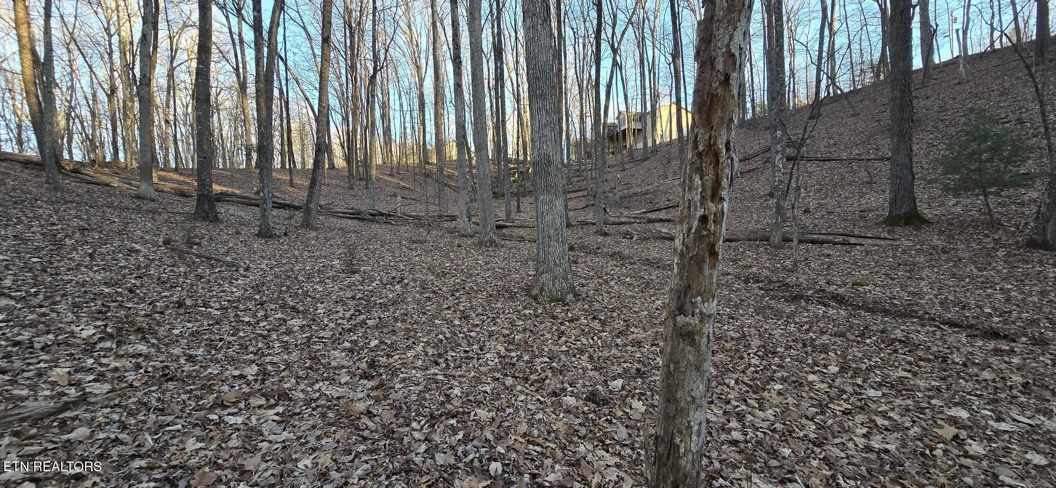 119 Pineridge Loop Fairfield Glade, TN 38558 - Photo 9 of 34 SLOPING PROPERTY