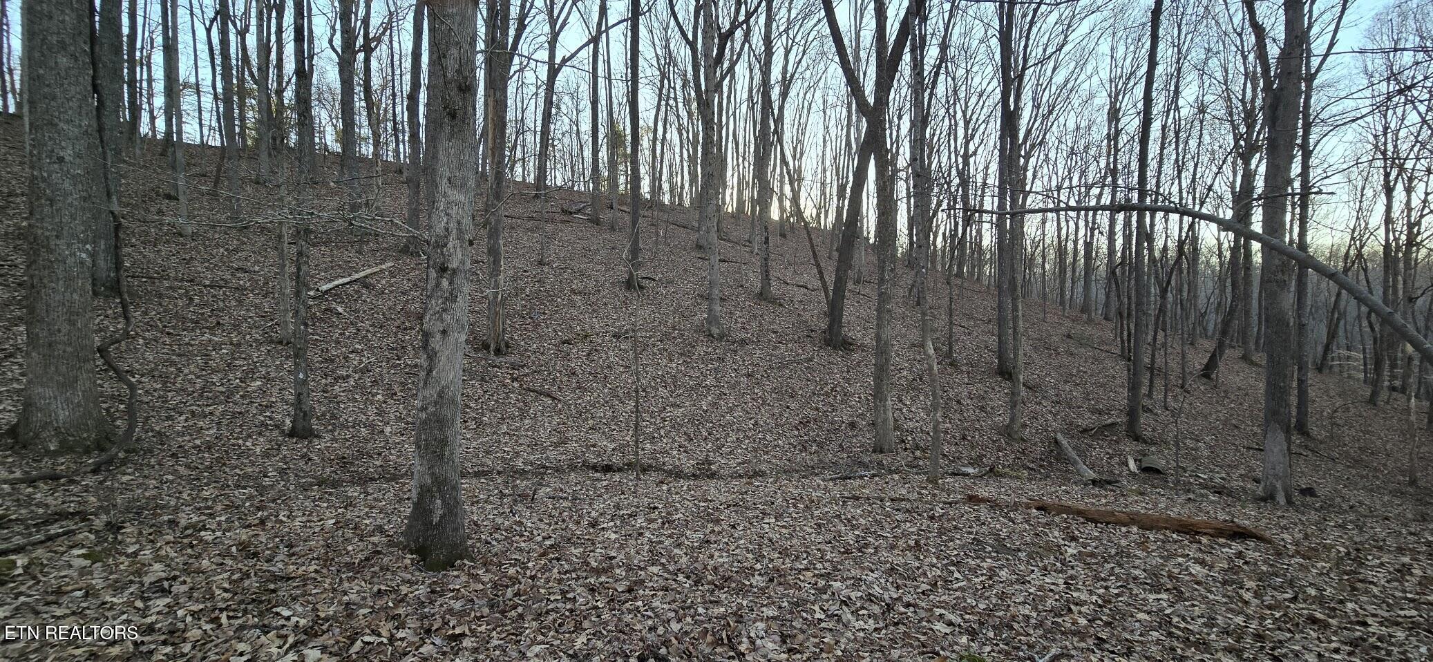 119 Pineridge Loop Fairfield Glade, TN 38558 - Photo 10 of 34 WOODED
