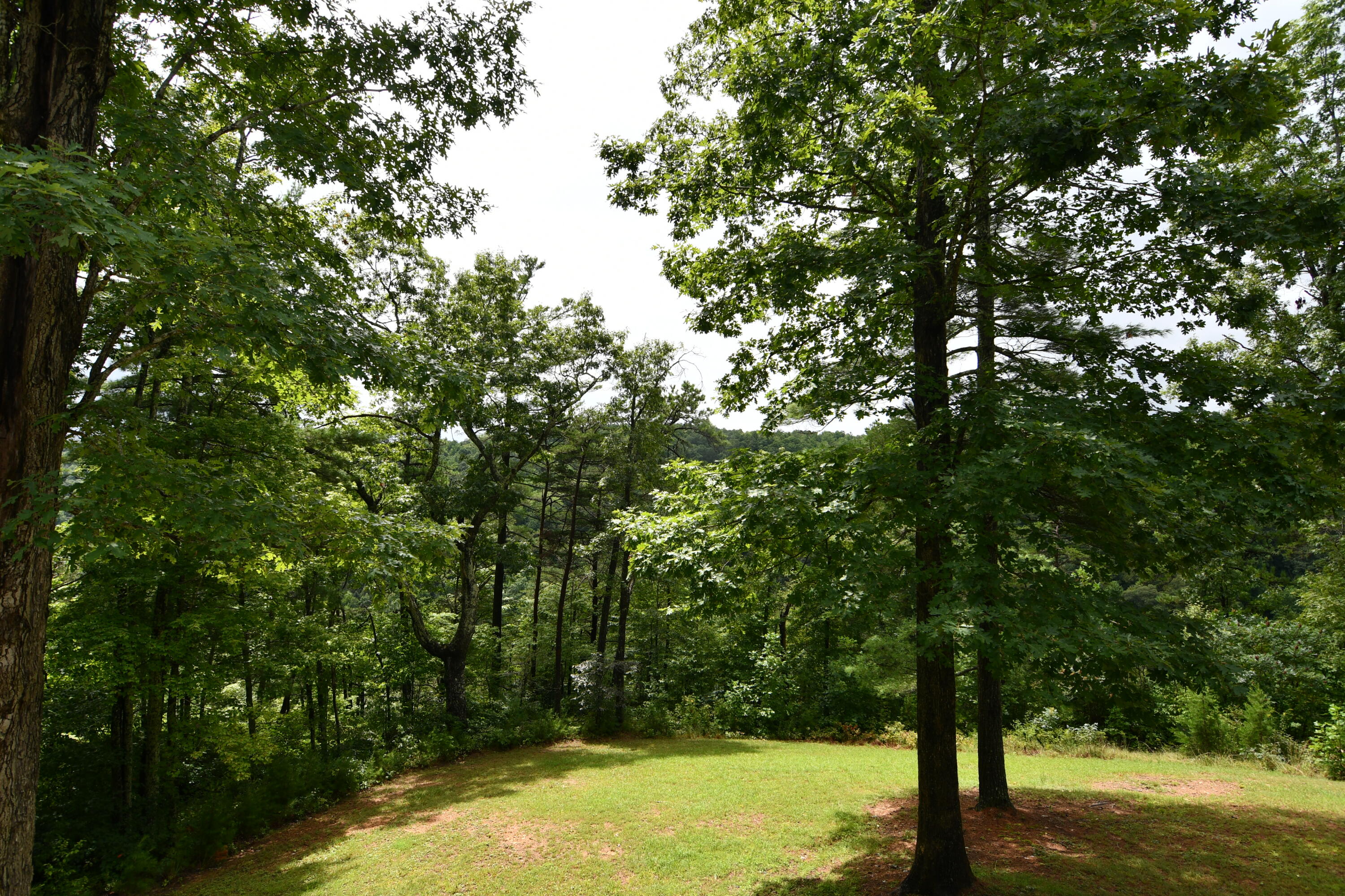 100 Turkey Road Wellington, KY 40387 - Photo 10 of 21 DSC_2644