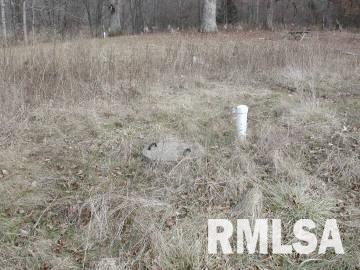 4001 Waggoner Road Iuka, IL 62849 - Photo 2 of 9