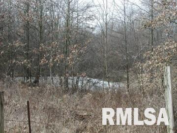4001 Waggoner Road Iuka, IL 62849 - Photo 4 of 9