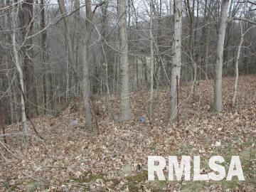 4001 Waggoner Road Iuka, IL 62849 - Photo 5 of 9