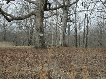 4001 Waggoner Road Iuka, IL 62849 - Photo 6 of 9