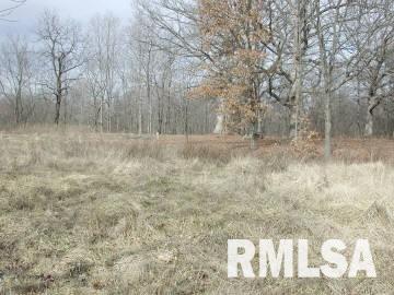 4001 Waggoner Road Iuka, IL 62849 - Photo 7 of 9