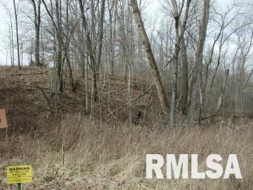 4001 Waggoner Road Iuka, IL 62849 - Photo 8 of 9
