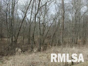 4001 Waggoner Road Iuka, IL 62849 - Photo 9 of 9