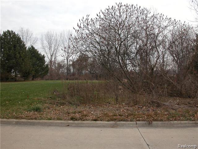 Waterf Chatham Road Grosse Ile, MI 48138 - Photo 5 of 6 Gallery Image 5