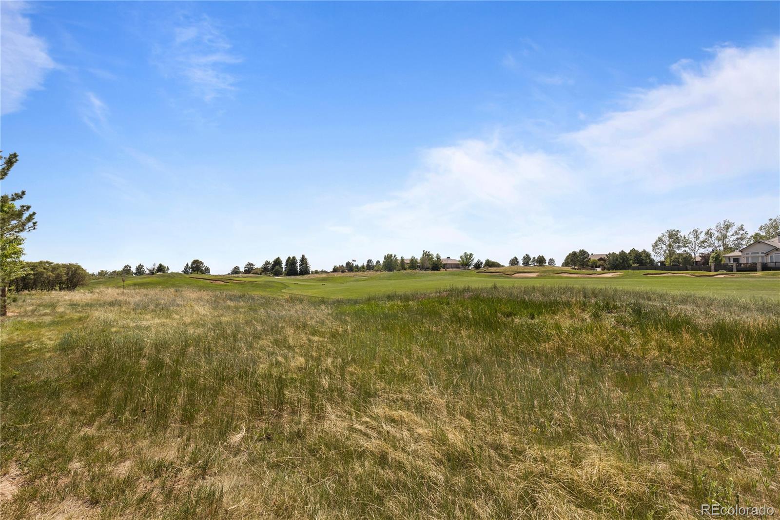 1291 Buffalo Ridge Road Castle Pines, CO 80108 - Photo 34 of 39 a view of lake and mountain