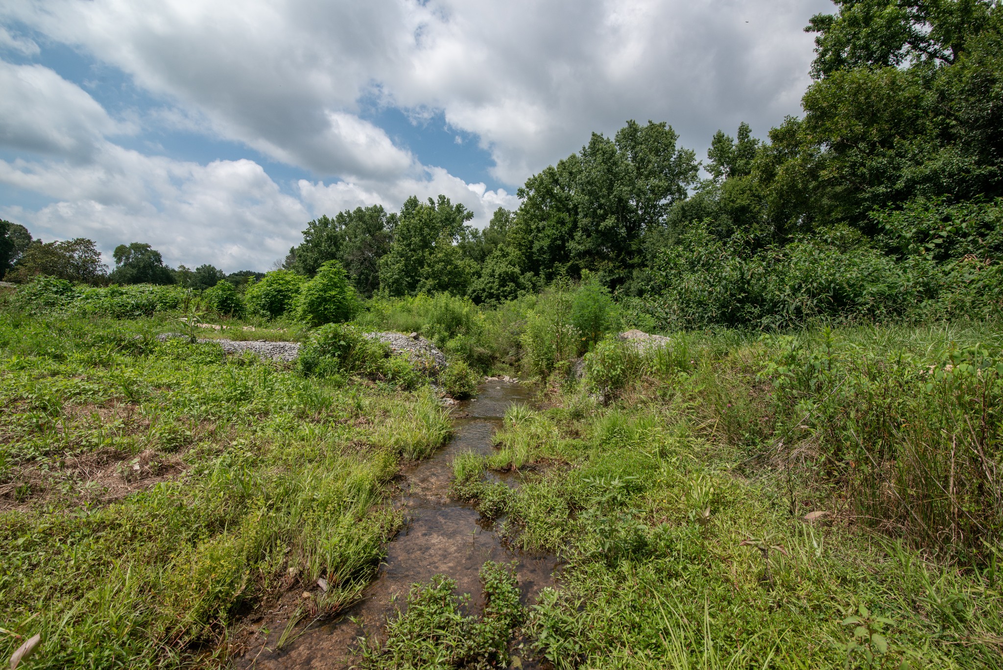 169 Pendergrass Road Flintville, TN 37335 - Photo 15 of 16
