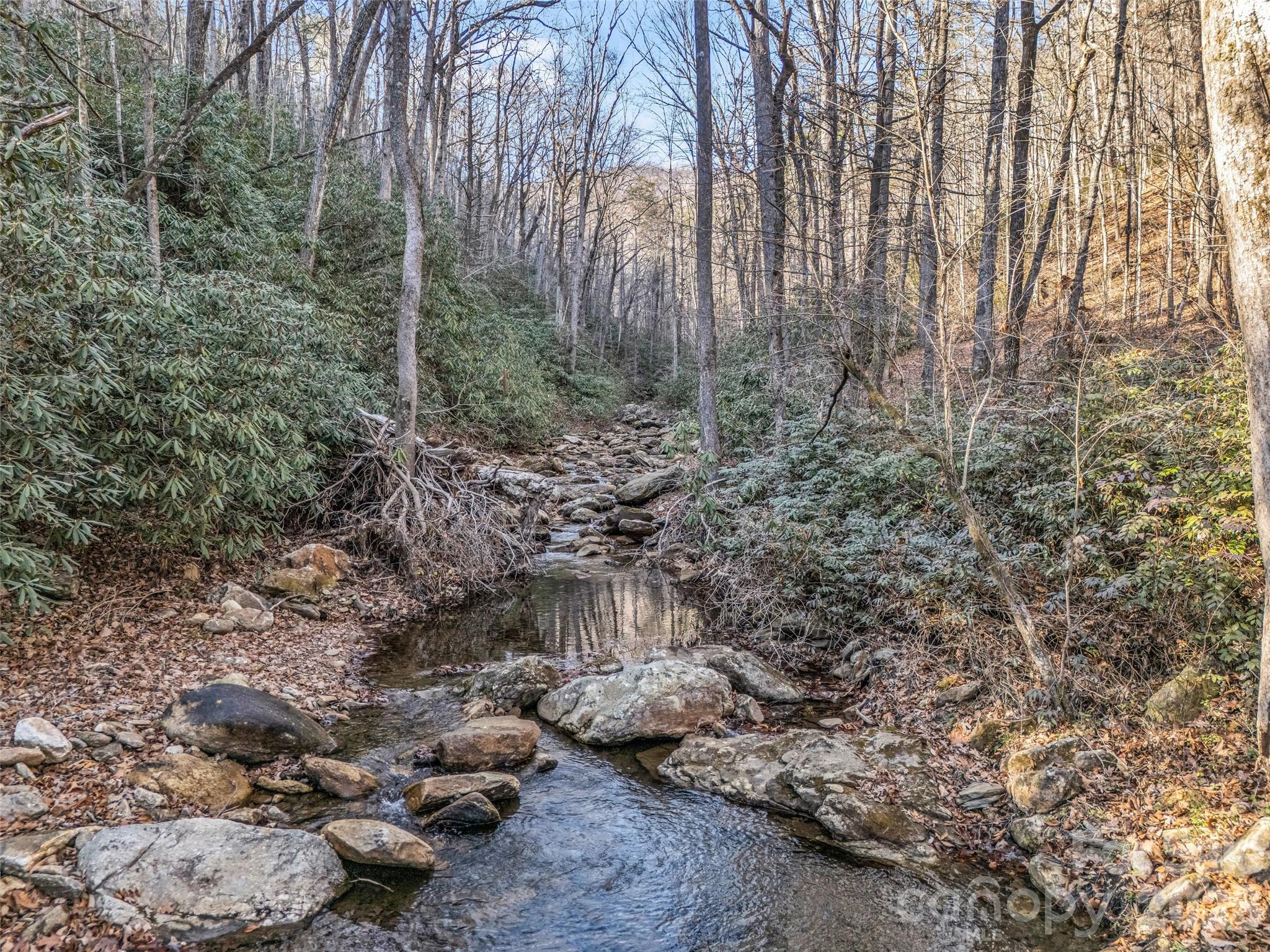 61 Deep Gap Farm Road East Mill Spring, NC 28756 - Photo 14 of 36