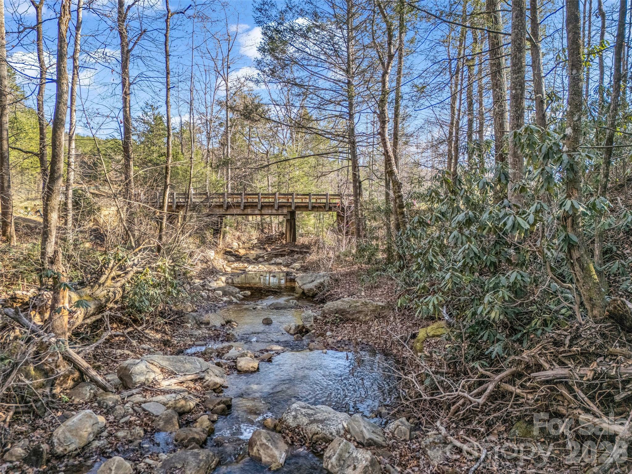 61 Deep Gap Farm Road East Mill Spring, NC 28756 - Photo 15 of 36