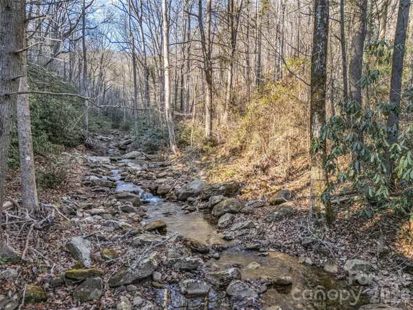 $495,000 | 61 Deep Gap Farm Road East, Mill Spring, NC 28756