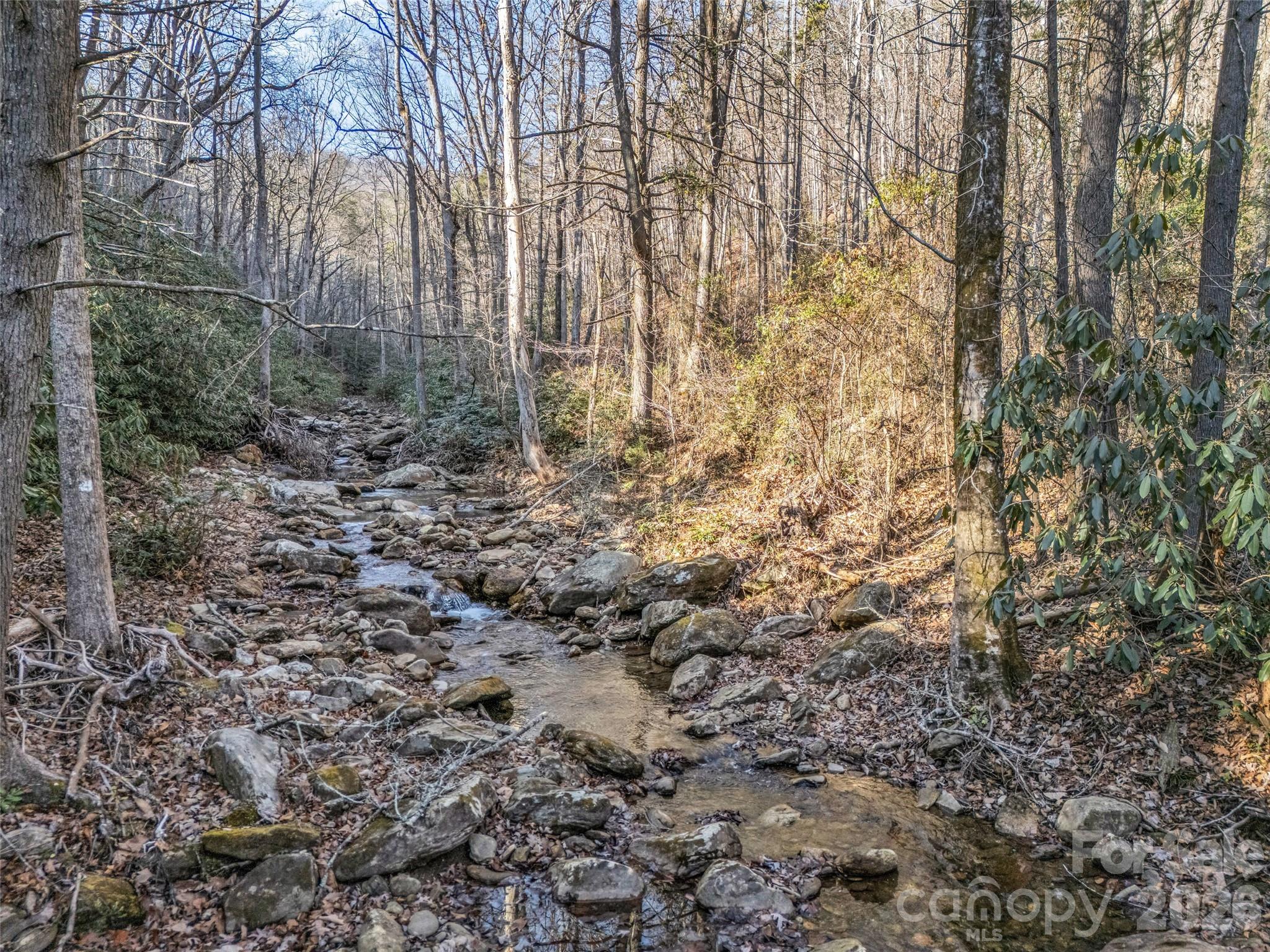 61 Deep Gap Farm Road East Mill Spring, NC 28756 - Photo 16 of 36