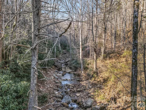 $495,000 | 61 Deep Gap Farm Road East, Mill Spring, NC 28756