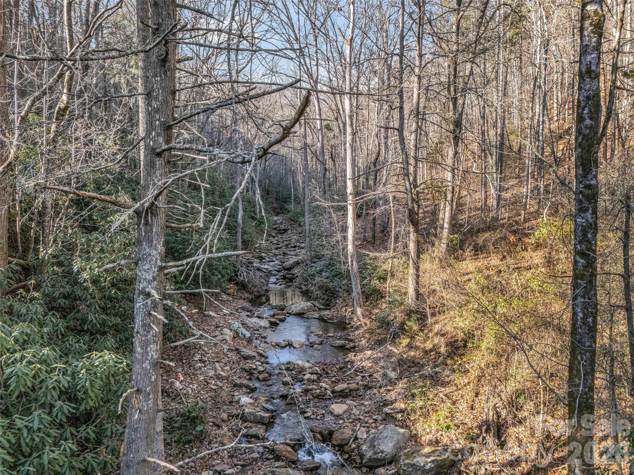 61 Deep Gap Farm Road East Mill Spring, NC 28756 - Photo 17 of 36
