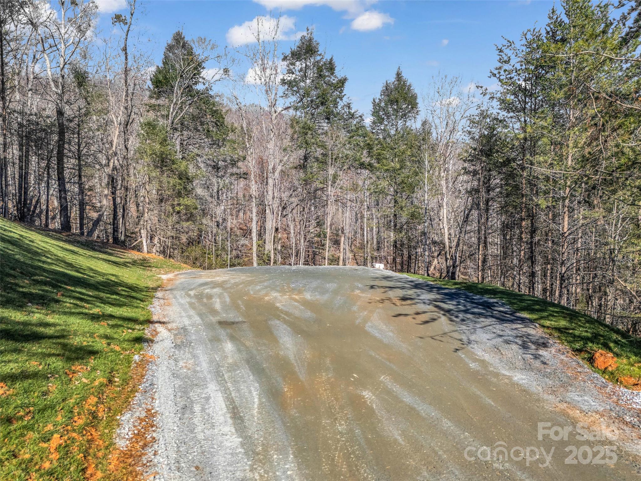 61 Deep Gap Farm Road East Mill Spring, NC 28756 - Photo 20 of 29 a view of a yard with large trees