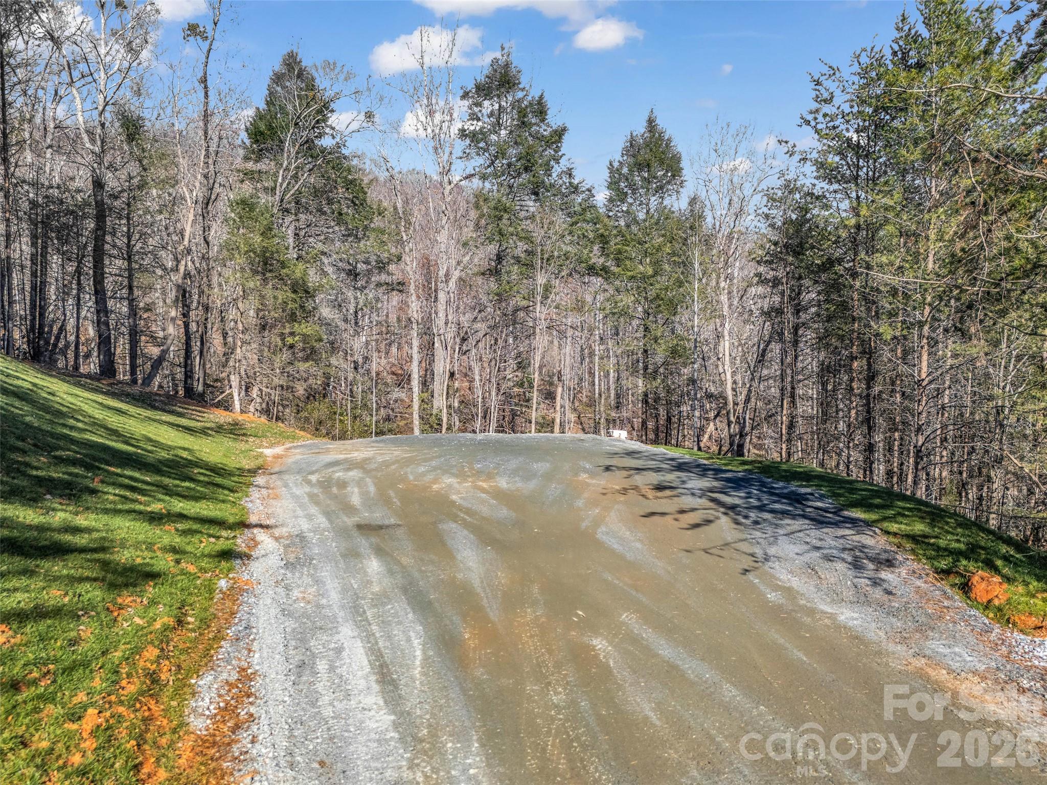 61 Deep Gap Farm Road East Mill Spring, NC 28756 - Photo 20 of 36