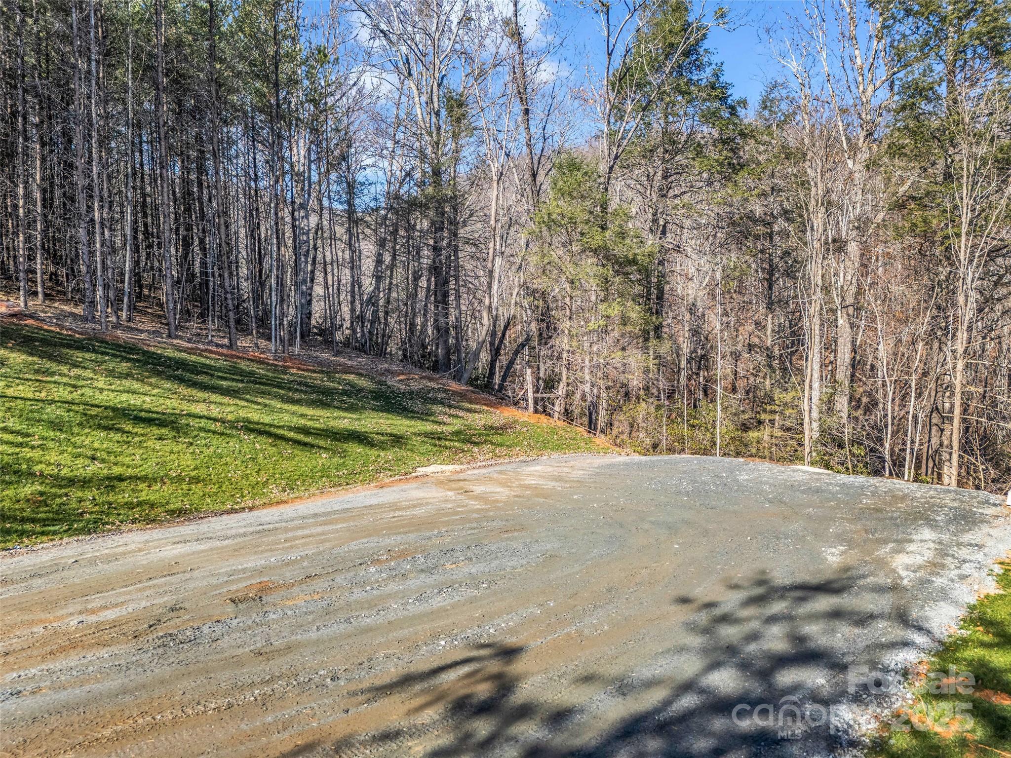 61 Deep Gap Farm Road East Mill Spring, NC 28756 - Photo 22 of 29 a view of a field with trees in the background