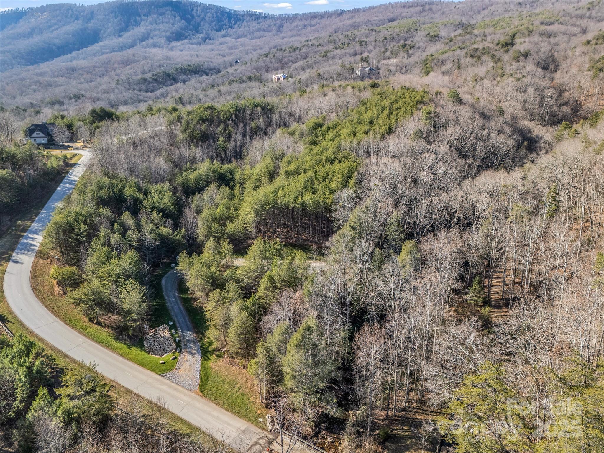 61 Deep Gap Farm Road East Mill Spring, NC 28756 - Photo 25 of 29 a view of a yard with plants