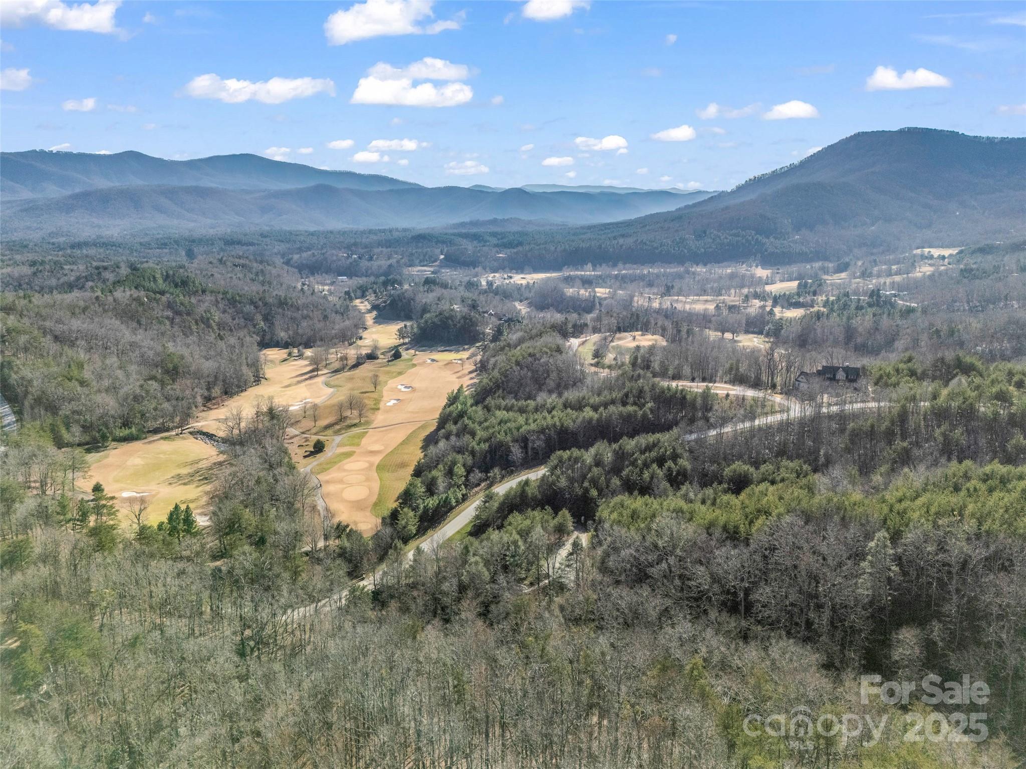 61 Deep Gap Farm Road East Mill Spring, NC 28756 - Photo 26 of 29 a view of mountains