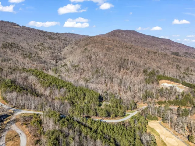 a view of a dry yard with green space