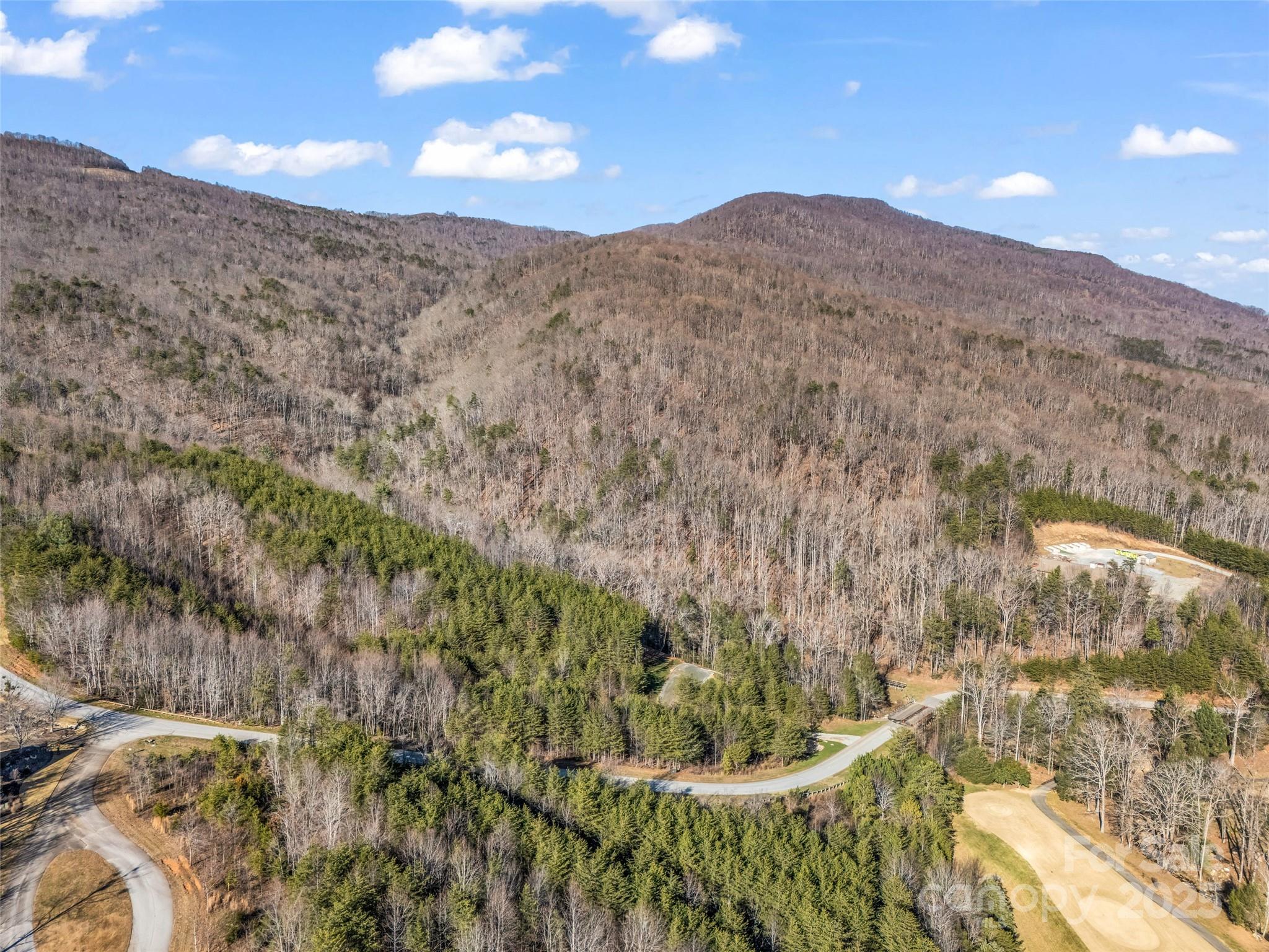 61 Deep Gap Farm Road East Mill Spring, NC 28756 - Photo 27 of 29 a view of a dry yard with green space